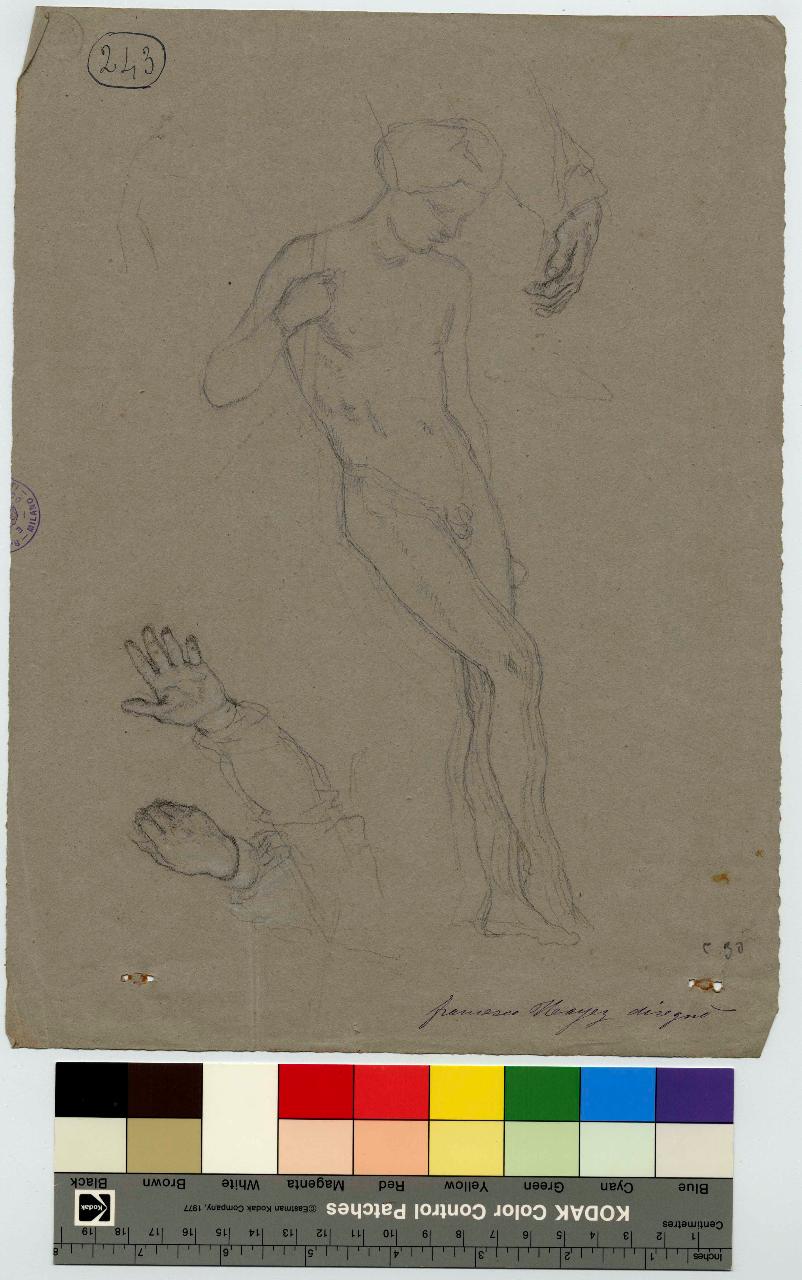 Nudo virile e studio di mani, nudo maschile e mani (disegno) di Hayez, Francesco (metà sec. XIX)