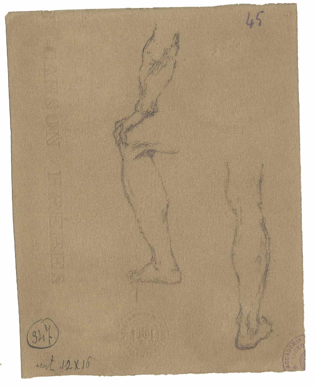 Studi di gambe, gambe (disegno) di Hayez, Francesco (metà sec. XIX)