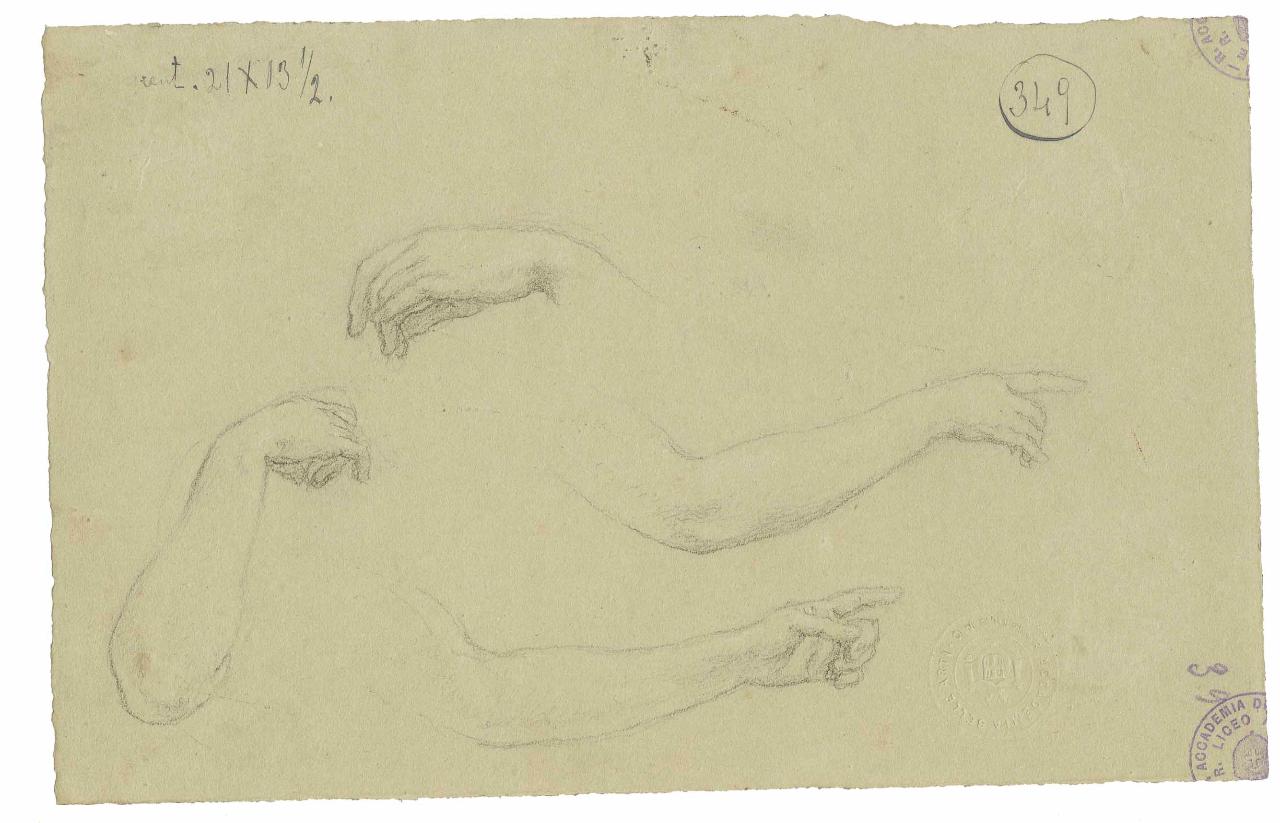 Studi di braccia, braccia (disegno) di Hayez, Francesco (metà sec. XIX)