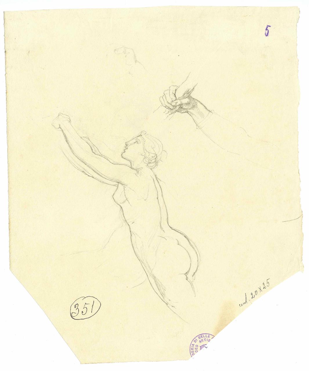 Ignuda vista di lato/ Testina, dalla "Venere" di Cnido, nudo femminile | testa, Venere (disegno) di Hayez, Francesco (metà sec. XIX)