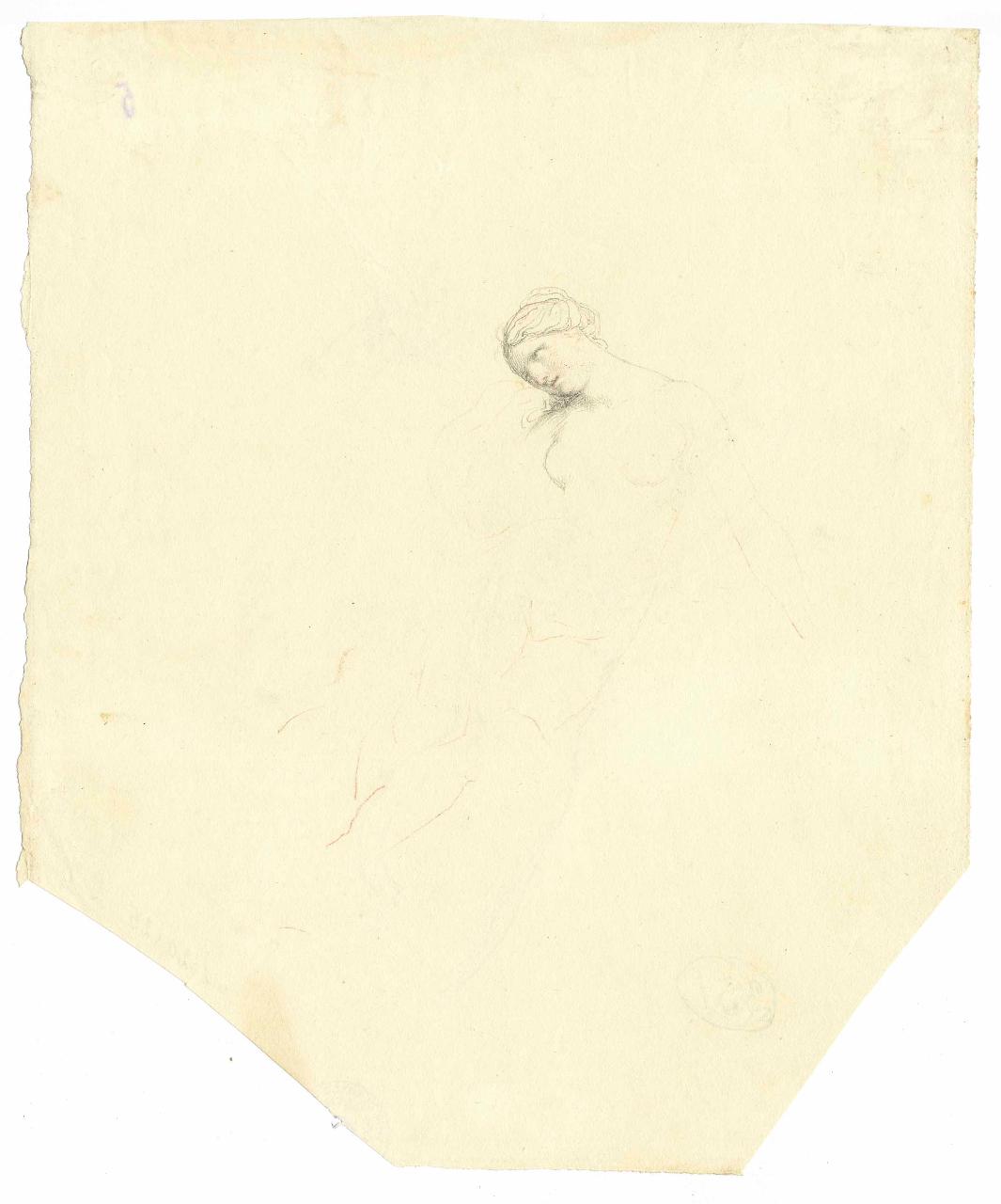 Testina, dalla "Venere" di Cnido, testa, Venere (disegno) di Hayez, Francesco (metà sec. XIX)