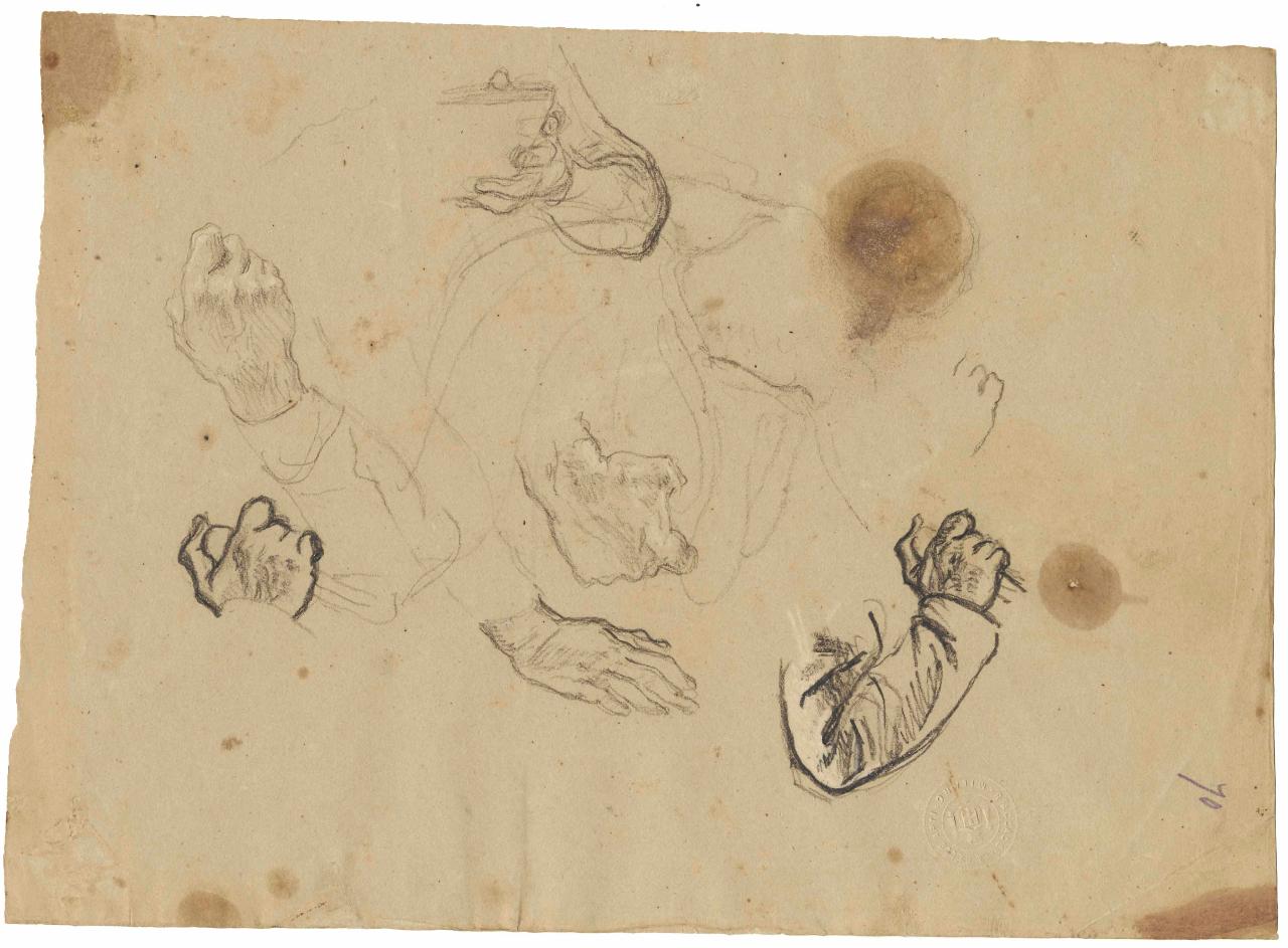 Studi di mani e braccia, mani, braccia (disegno) di Hayez, Francesco (metà sec. XIX)