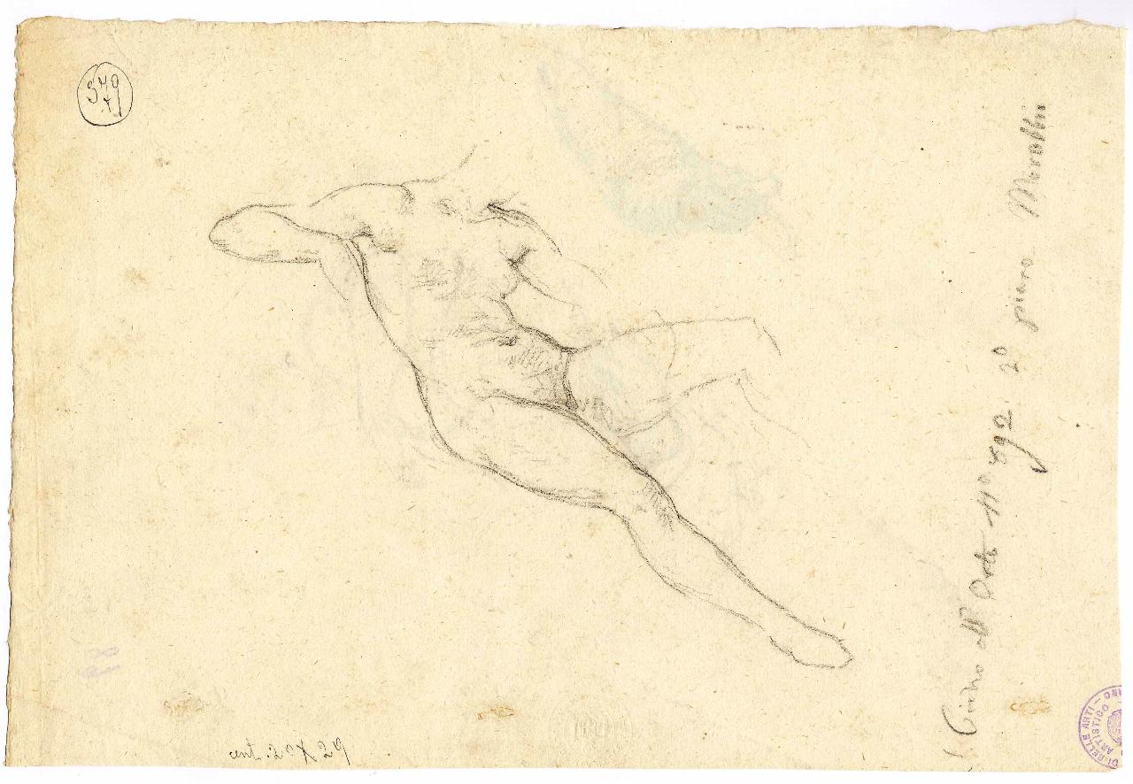 Ignuda acefala (studio per la Betsabea), nudo femminile (disegno) di Hayez, Francesco (metà sec. XIX)