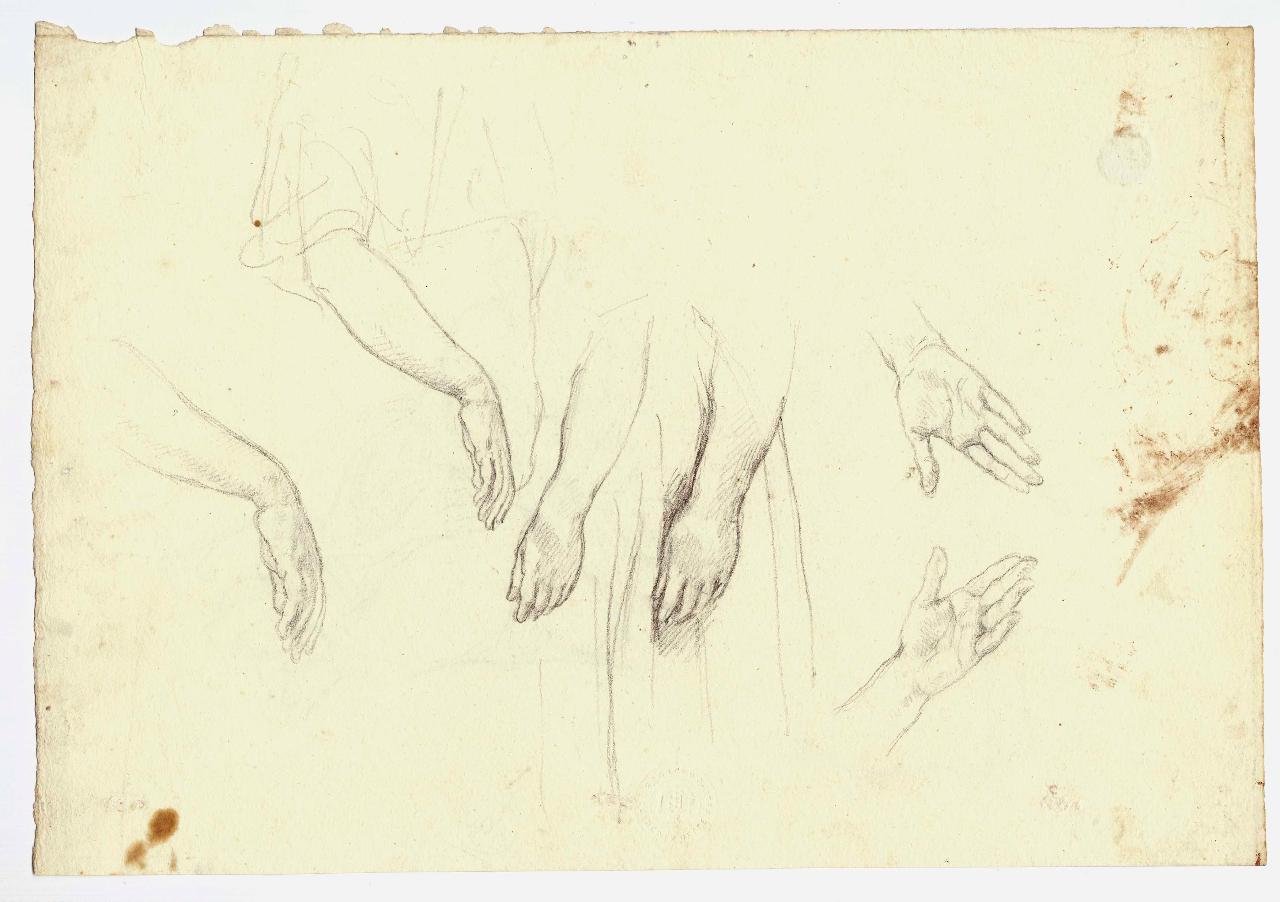 Studi di mani, mani (disegno) di Hayez, Francesco (metà sec. XIX)