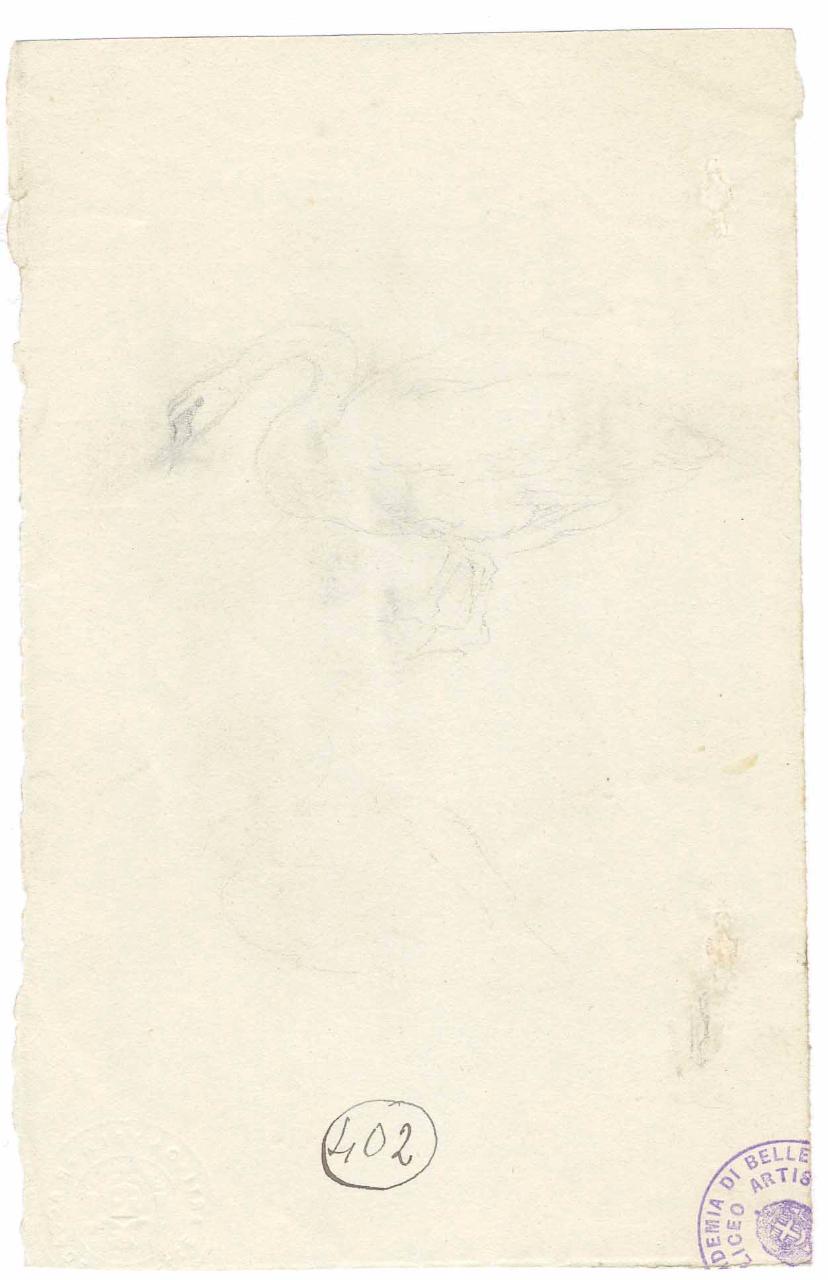 Cigno, cigno (disegno) di Hayez, Francesco (metà sec. XIX)