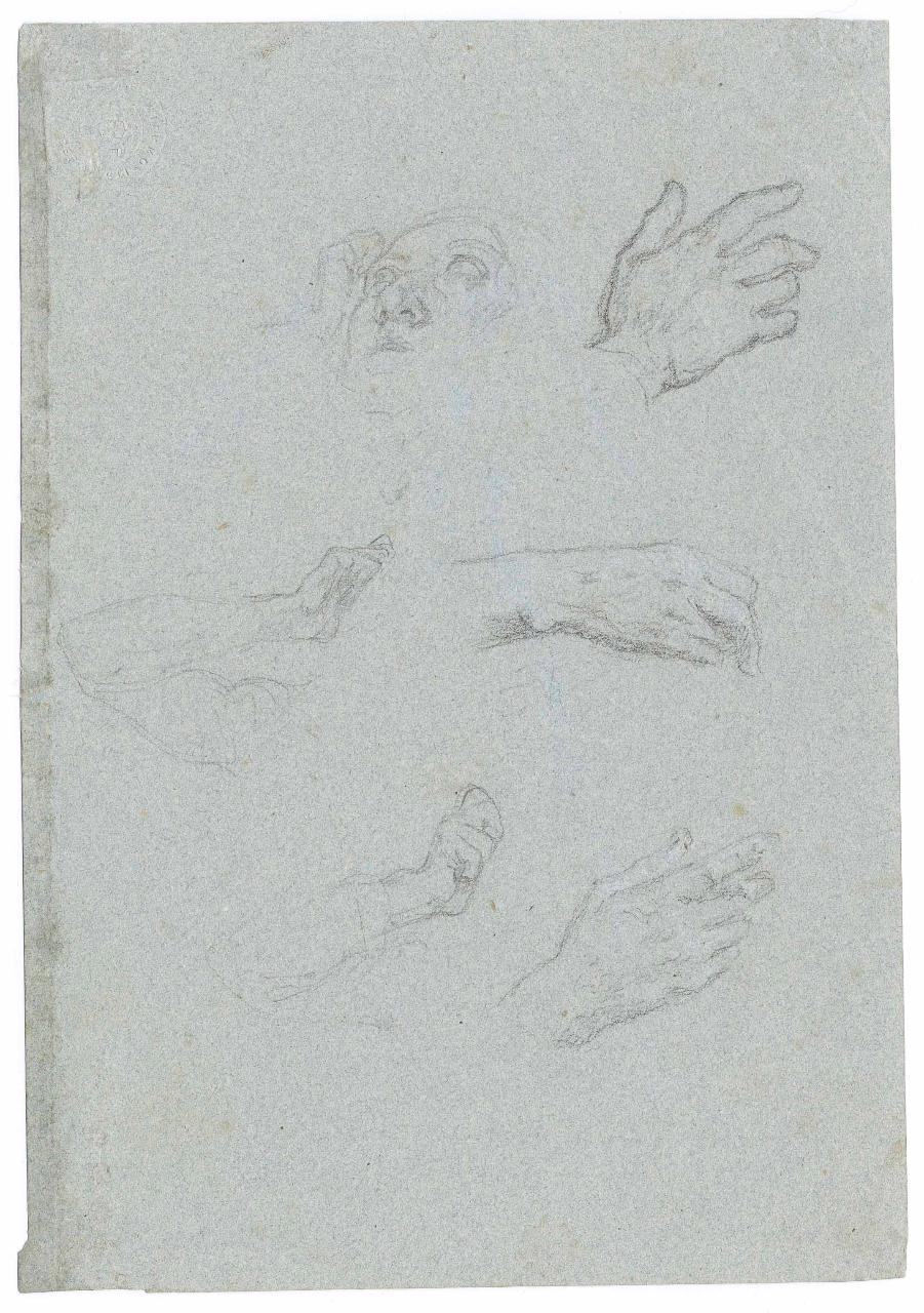 Studio di mani, mani (disegno) di Hayez, Francesco (metà sec. XIX)