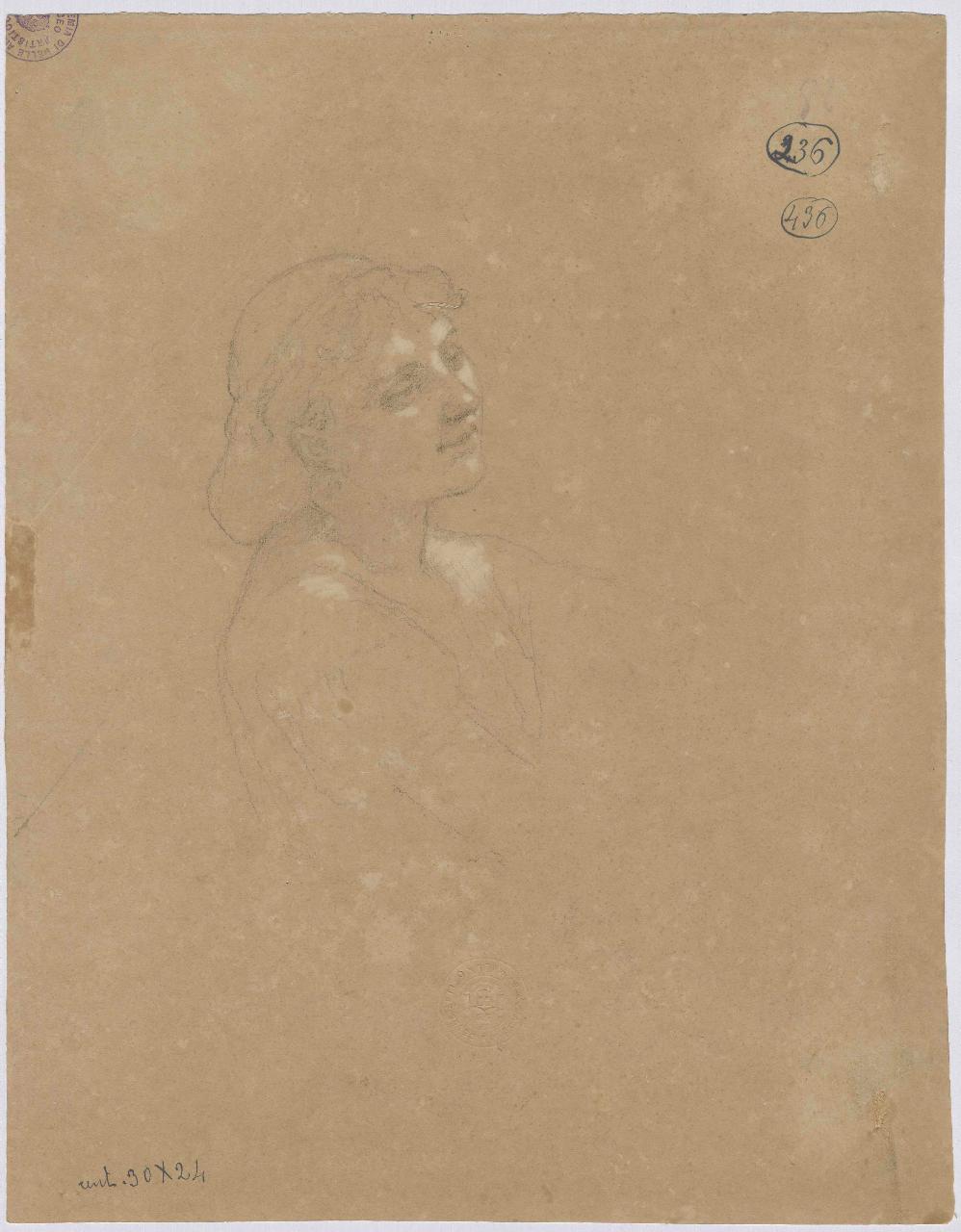 Studio di testa femminile, ritratto femminile (disegno) di Hayez, Francesco (metà sec. XIX)
