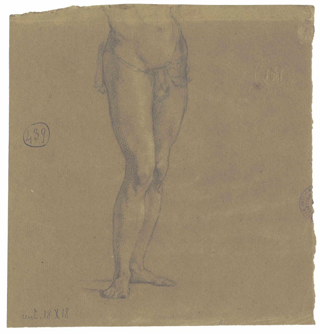 Nudo virile (parte inferiore), nudi maschili (disegno) di Hayez, Francesco (metà sec. XIX)