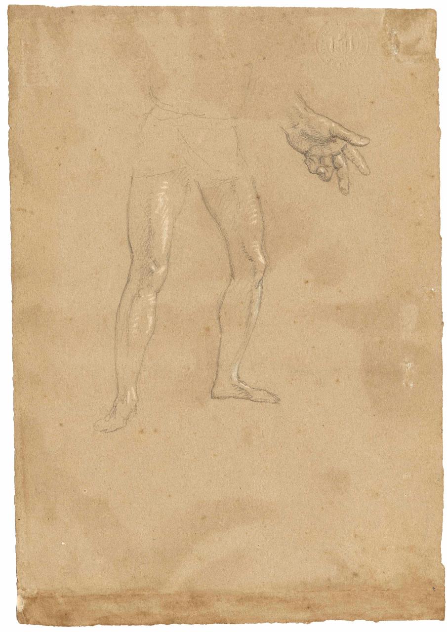 Studio di figure virili ignude (arti inferiori), nudi maschili, gambe (disegno) di Hayez, Francesco (metà sec. XIX)