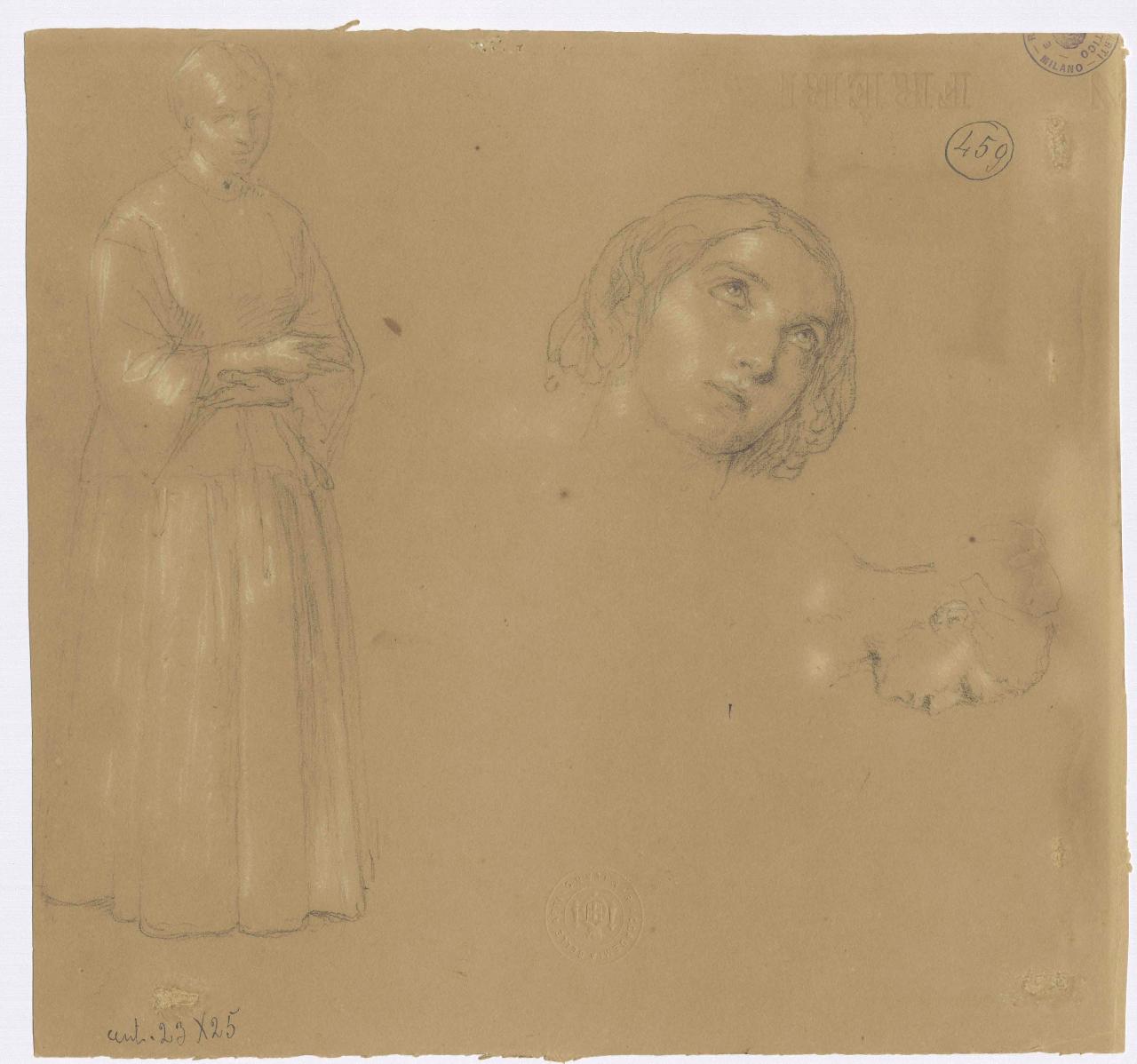 Donna all'impiedi e due testine (dal vero), figura femminile in piedi, teste (disegno) di Hayez, Francesco (metà sec. XIX)