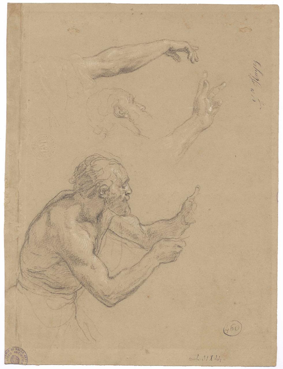 Ignudo a mezzo busto e studi di braccia, mano e testa (dello stesso), nudo maschile, braccio, mano, testa (disegno) di Hayez, Francesco (metà sec. XIX)