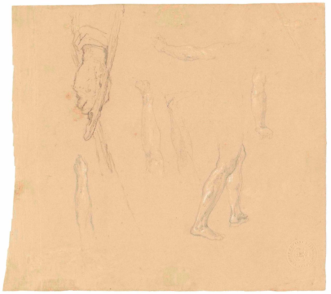 Studi di mani e braccia, mani, braccia (disegno) di Hayez, Francesco (metà sec. XIX)