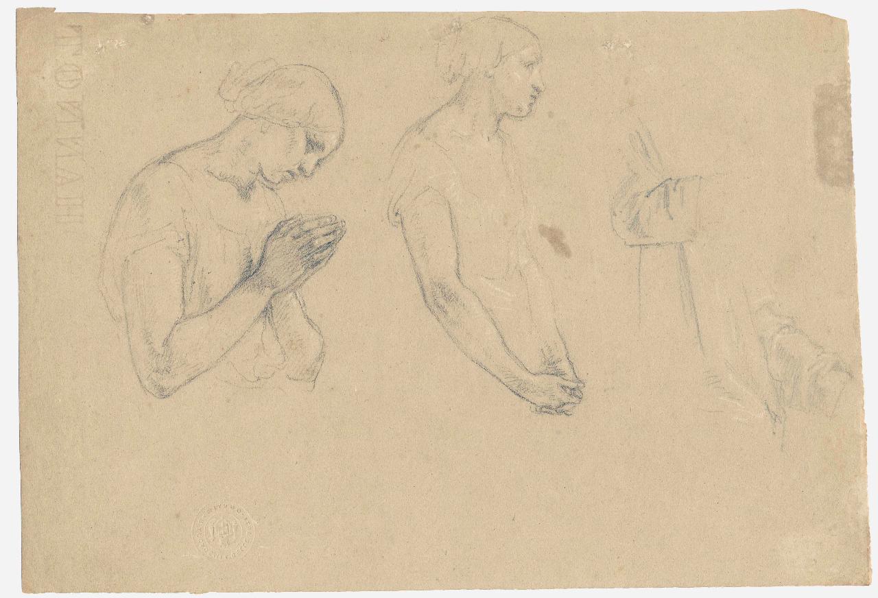 Mezze figure di donne oranti e studi di panneggi, figure femminili oranti, panneggio (disegno) di Hayez, Francesco (metà sec. XIX)