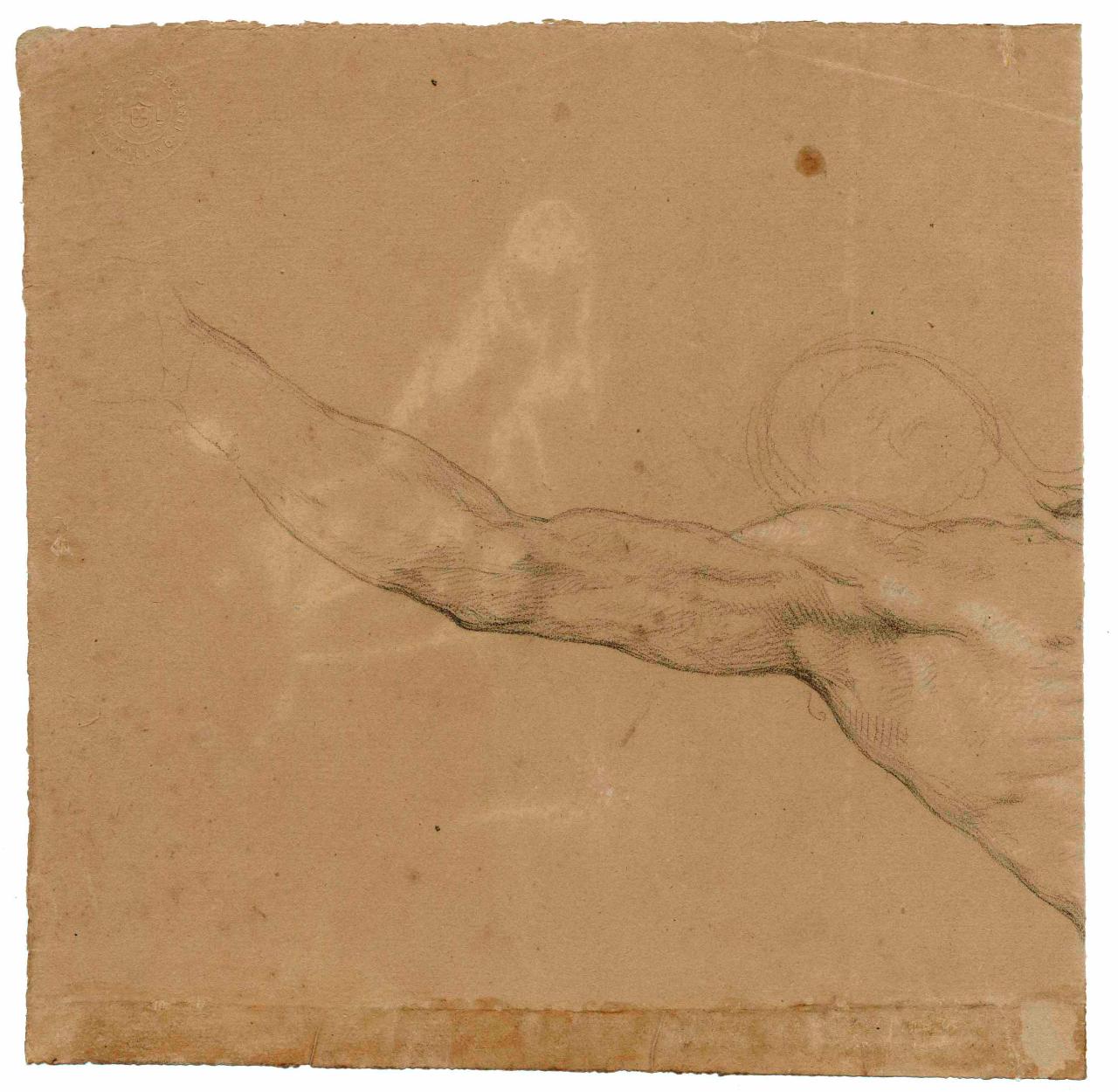 Studio di braccia e spalle, braccia, spalle (disegno) di Hayez, Francesco (metà sec. XIX)