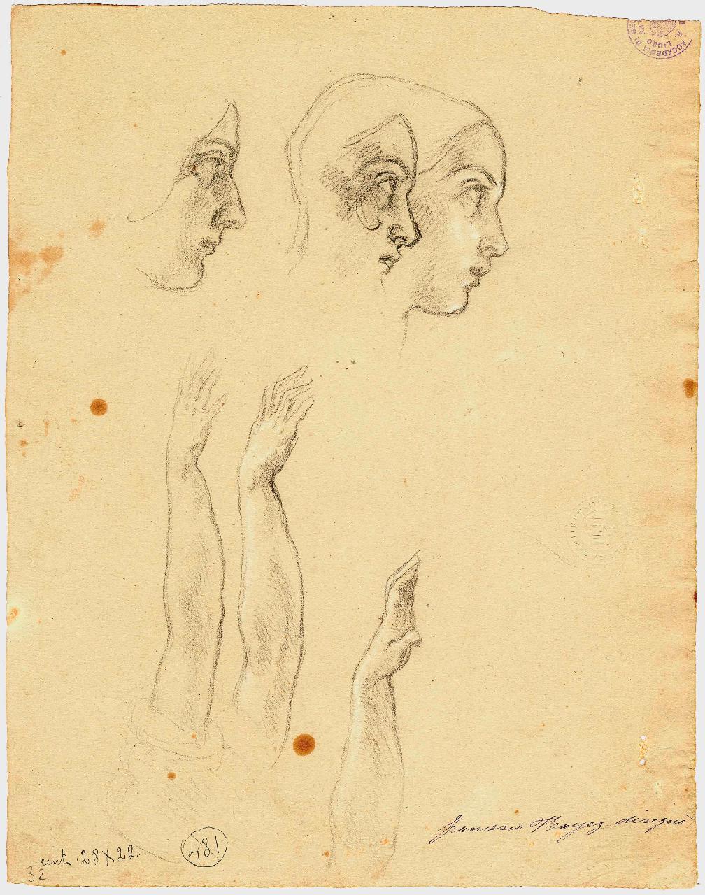 Schizzi di teste femminili e studi di braccia, figure femminili e braccia (disegno) di Hayez, Francesco (metà sec. XIX)