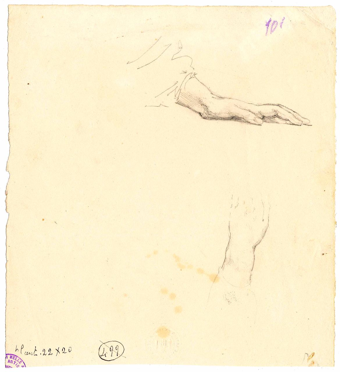 Studio di mani, mani (disegno) di Hayez, Francesco (metà sec. XIX)