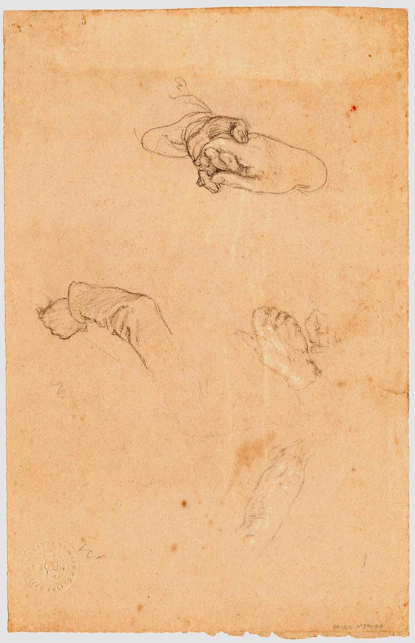 Schizzi di mani, mani (disegno) di Hayez, Francesco (metà sec. XIX)