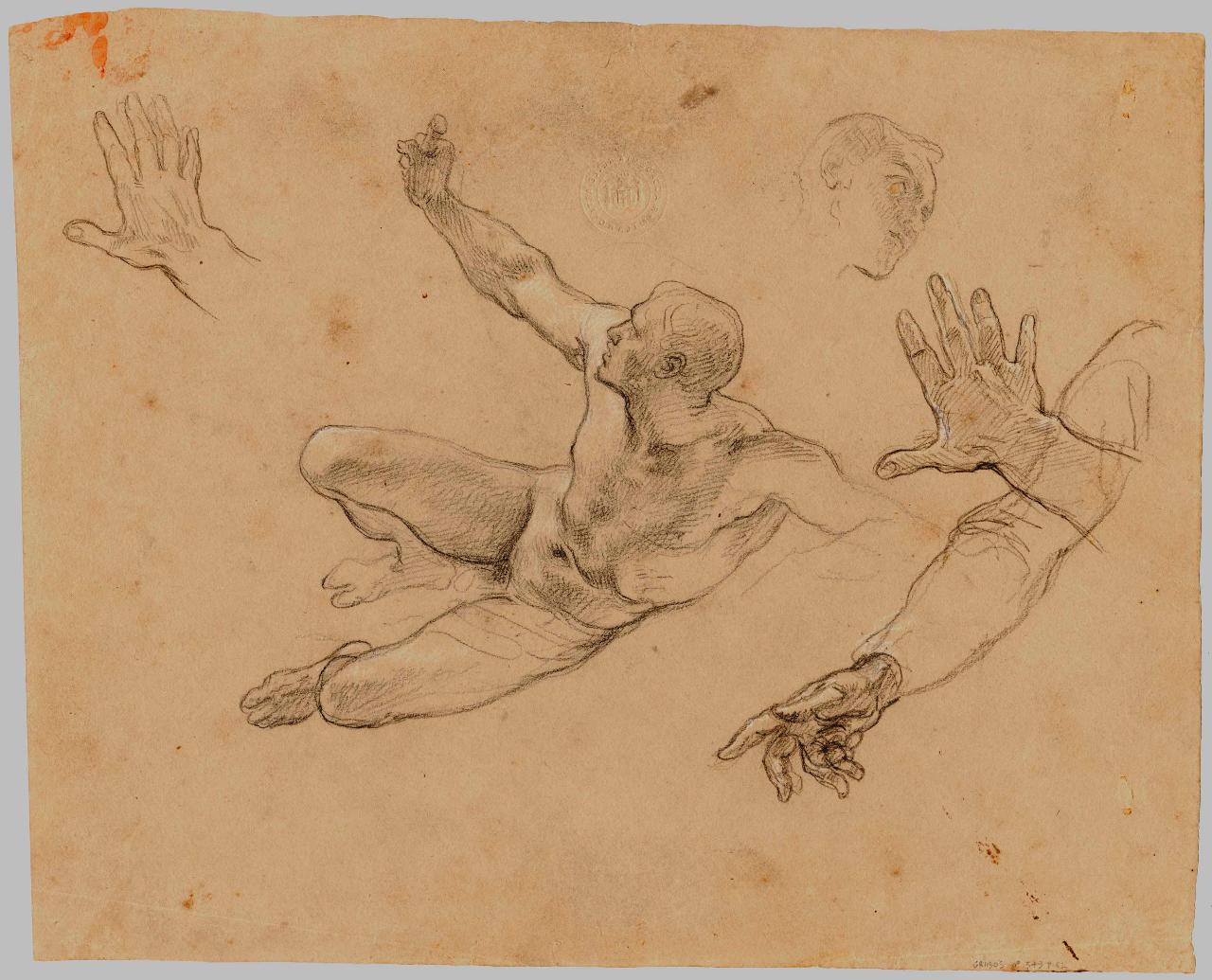 Ignudo virile in scorcio, nudo maschile e mani (disegno) di Hayez, Francesco (metà sec. XIX)