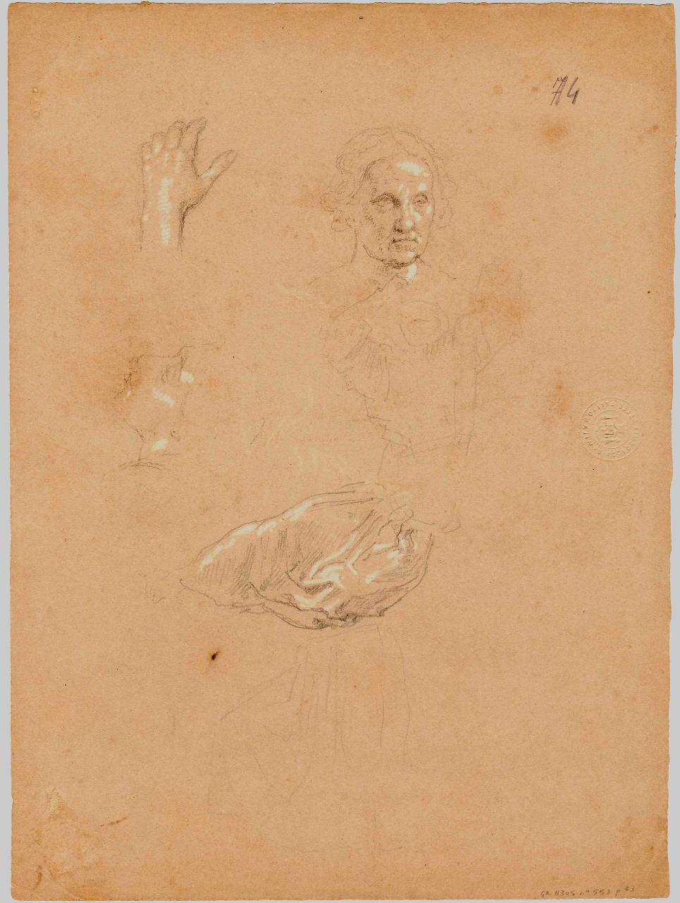 Testa femminile e studi di panneggi, figura femminile e panneggio (disegno) di Hayez, Francesco (metà sec. XIX)