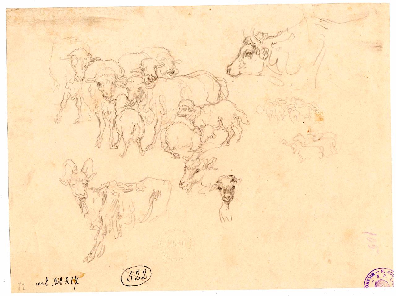 Animali (pecore, capre e mucche), pecore, capre e mucche (disegno) di Hayez, Francesco (metà sec. XIX)