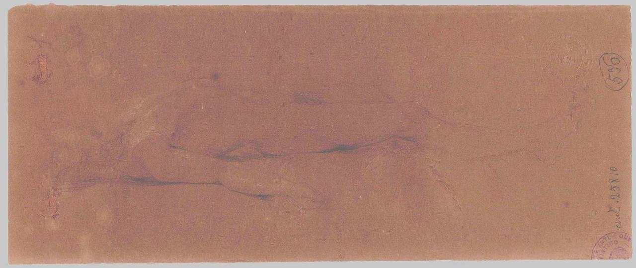 Figura virile ignuda, nudo maschile (disegno) di Hayez, Francesco (metà sec. XIX)