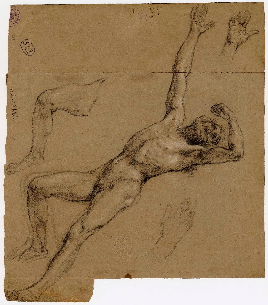 Studio di nudo virile, nudo maschile (disegno) di Hayez, Francesco (metà sec. XIX)