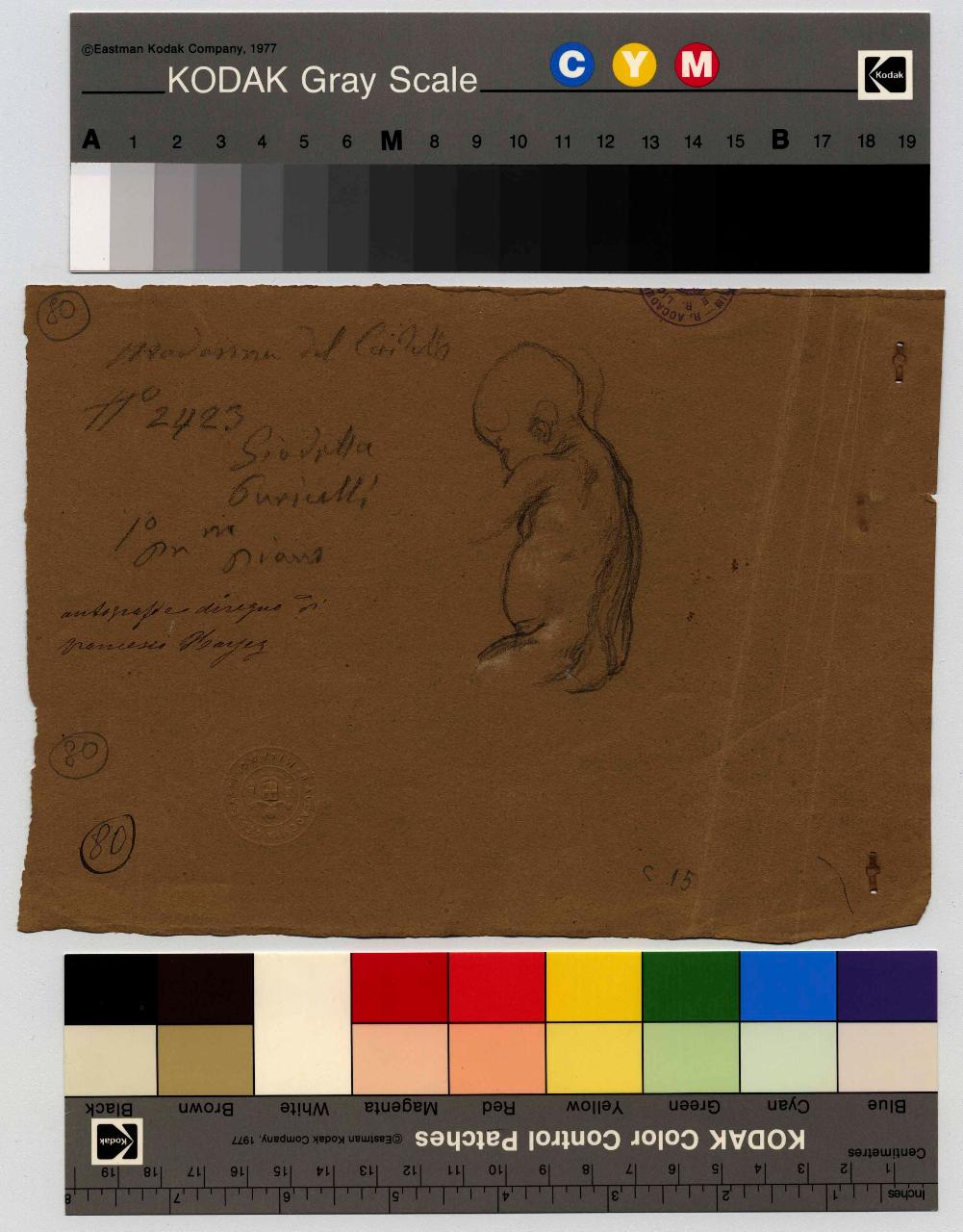 Putto di profilo, bambino (disegno) di Hayez, Francesco (metà sec. XIX)