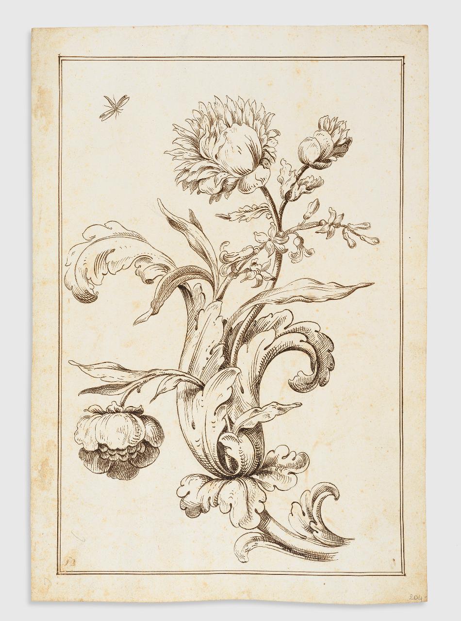 Tavola di ornato con fiori e insetti (recto e verso) (disegno) - Anonimo (seconda metà sec. XVII)