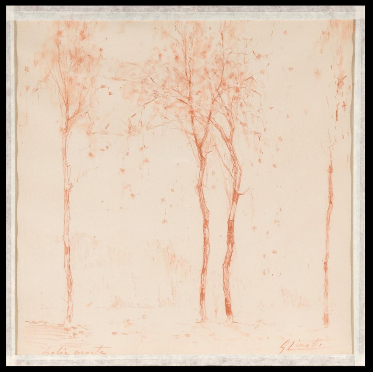 Foglie morte, Paesaggio con alberi (disegno) di Cinotti, Guido (sec. XX)