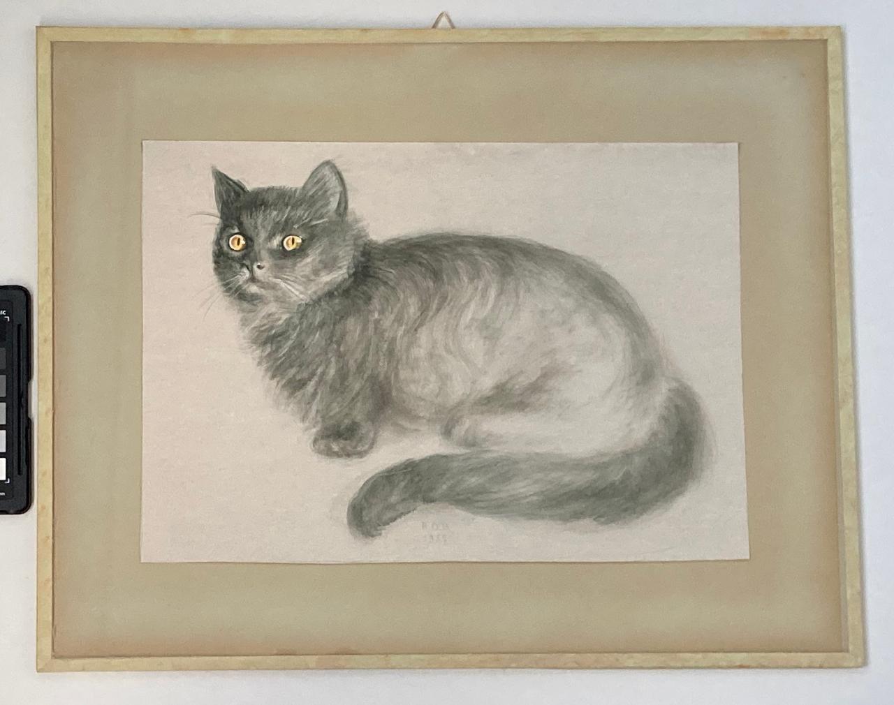 gatto (disegno) - ambito europeo (sec. XX)