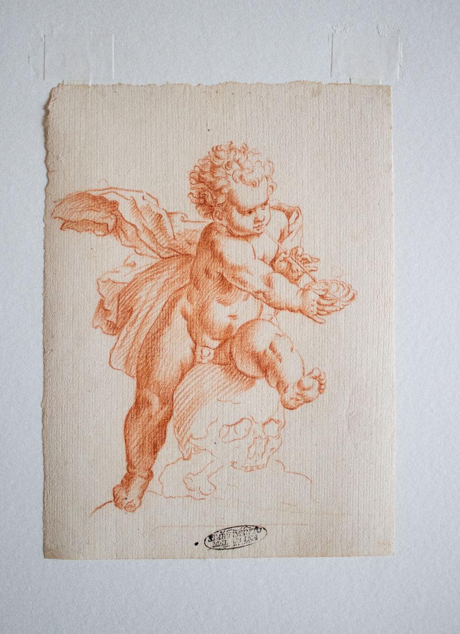 Quis evadet, Putto con teschio (disegno) di Carracci, Agostino (fine/ inizio secc. XVI/ XVII)