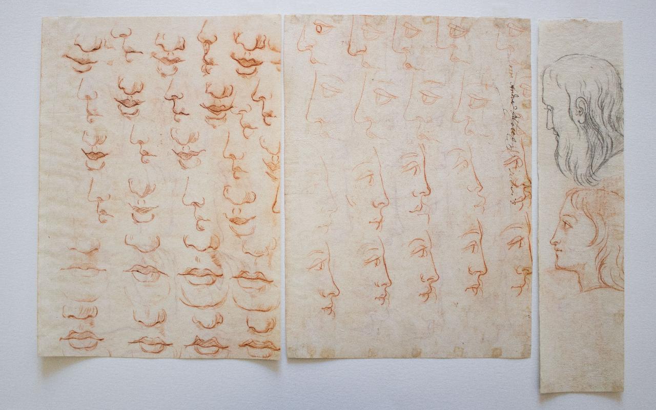 Studi di profili e di particolari del viso, recto: Numerosi studi di nasi, bocche, profili. Due studi di testa, verso: Numerosi studi di profili, di mani. Uno studio di testa (disegno) - ambito italiano (sec. XVII)
