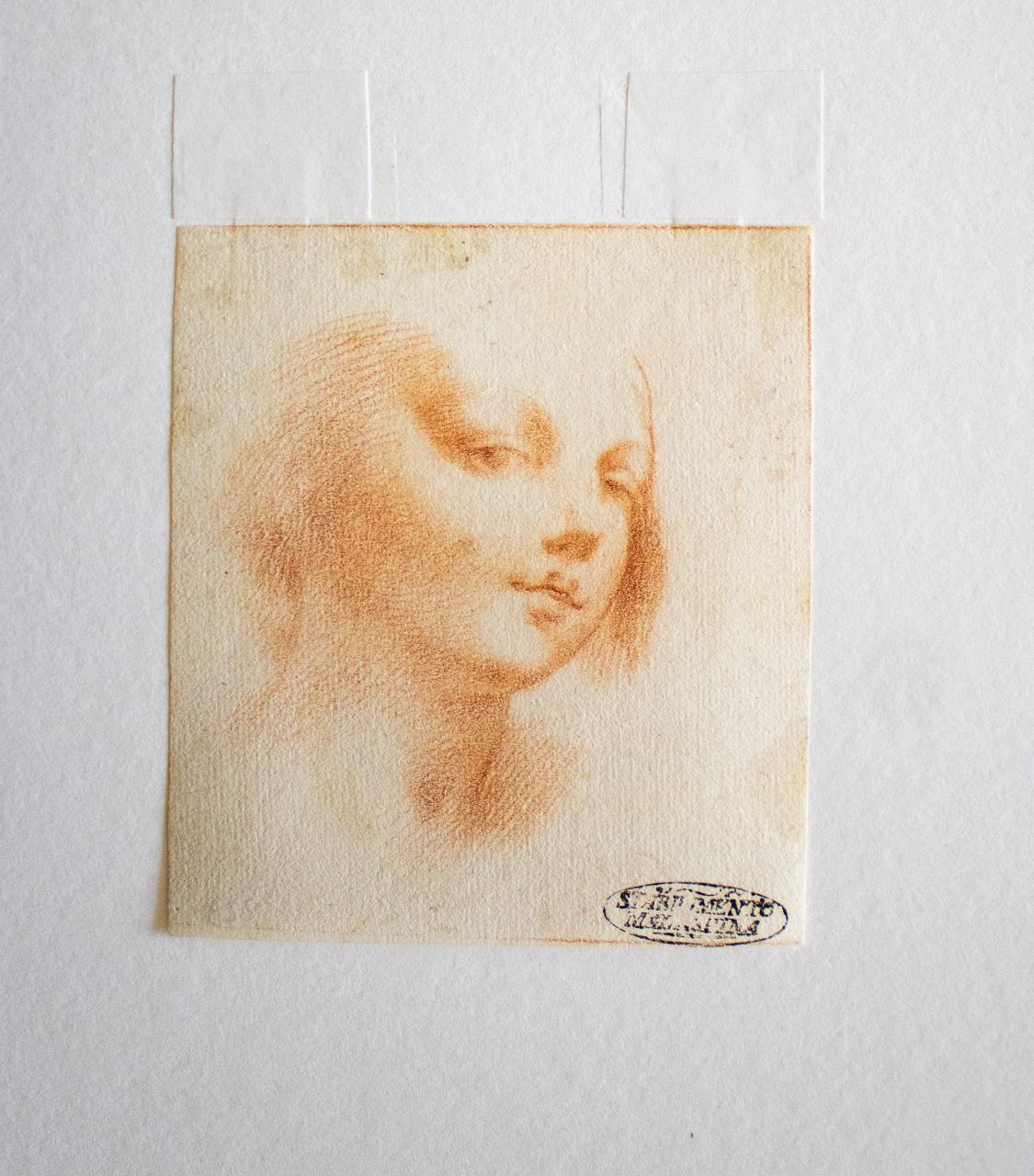 Testa di fanciulla, Testa di fanciulla (disegno) - ambito italiano (sec. XVII)