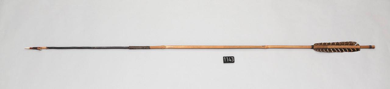 freccia - popolazione Asurini (seconda metà sec. XX)