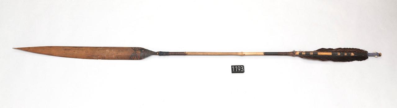 freccia - popolazione  Parakana (seconda metà sec. XX)