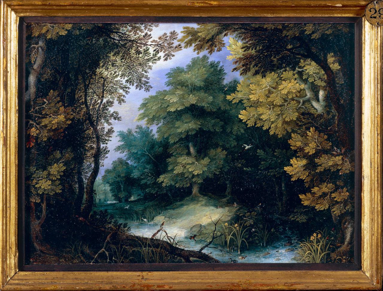 Paesaggio silvestre con ruscello, boscaglia (dipinto) di Brueghel, Jan il Vecchio (fine sec. XVI)