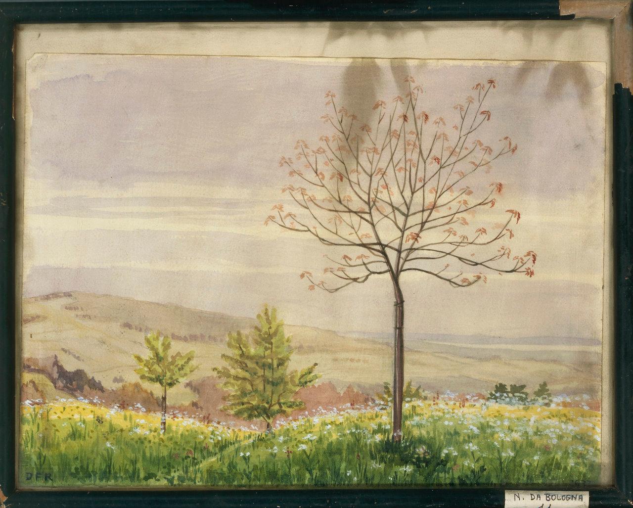 Paesaggio collinare, paesaggio collinare (dipinto) di Pittmeyer, Dora Fanny (sec. XX)