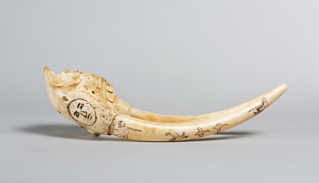 mascella e zanne di tricheco (scrimshaw) di popolazione Inuit (autore non identificato) - popolazione Inuit (seconda metà sec. XX)