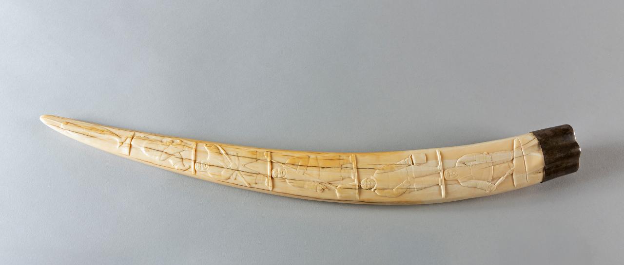 Zanna in avorio con scena di caccia, scena di caccia (zanna di tricheco incisa) di popolazione Inuit (autore non identificato) - popolazione Inuit (secc. XIX/ XX)