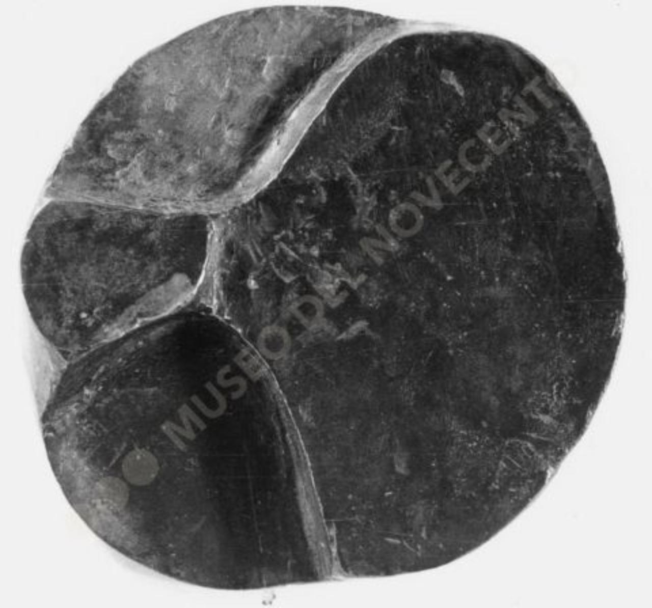 Impronta plastica strana, composizione astratta (bassorilievo) di Guerrini, Lorenzo (seconda metà sec. XX)