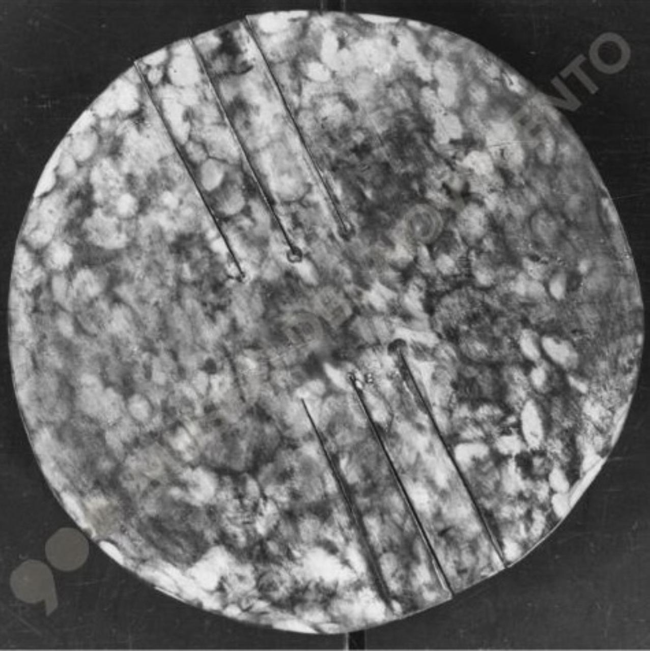 Medaglia tagliata, composizione astratta (bassorilievo) di Guerrini, Lorenzo (seconda metà sec. XX)