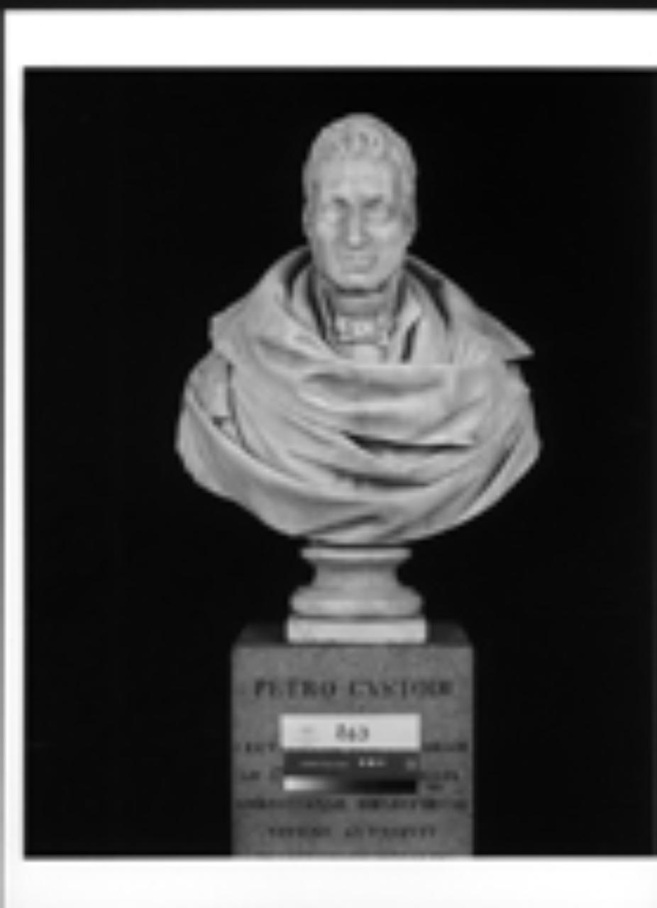 Busto maschile, busto maschile (busto) di Monti, Gaetano Matteo (attribuito) (prima metà sec. XIX)