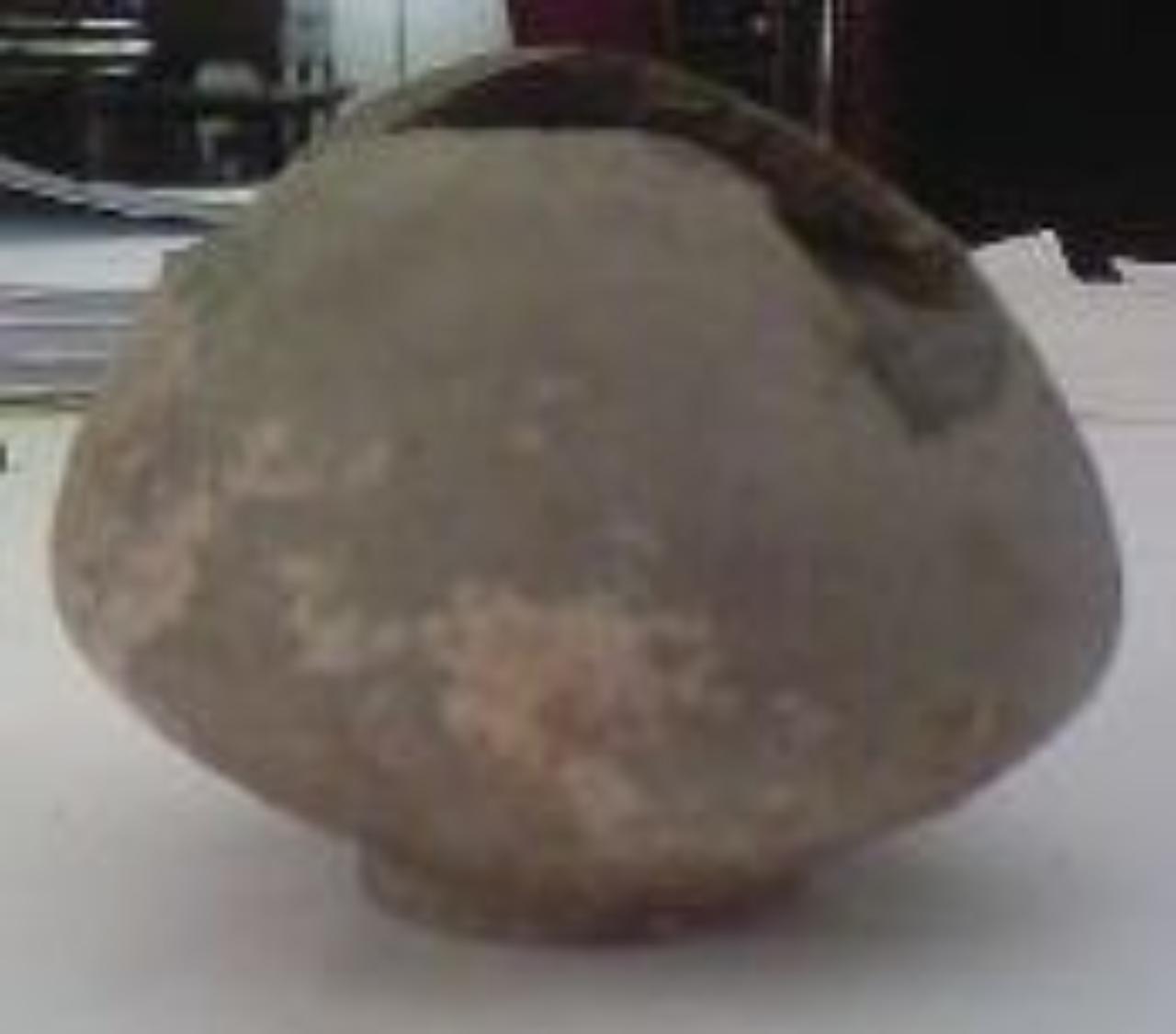 vaso, vaso (vaso) - n.d. (n.d.)