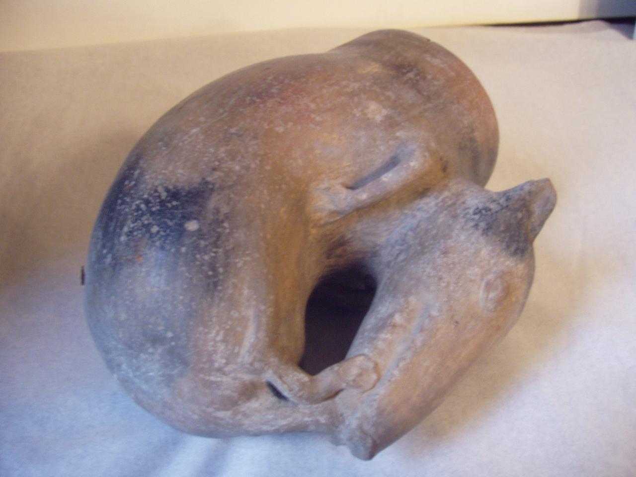 Recipiente zoomorfo, cuy (recipiente) - produzione Chimù/Inca (fine/inizio secc. XV/ XVI)