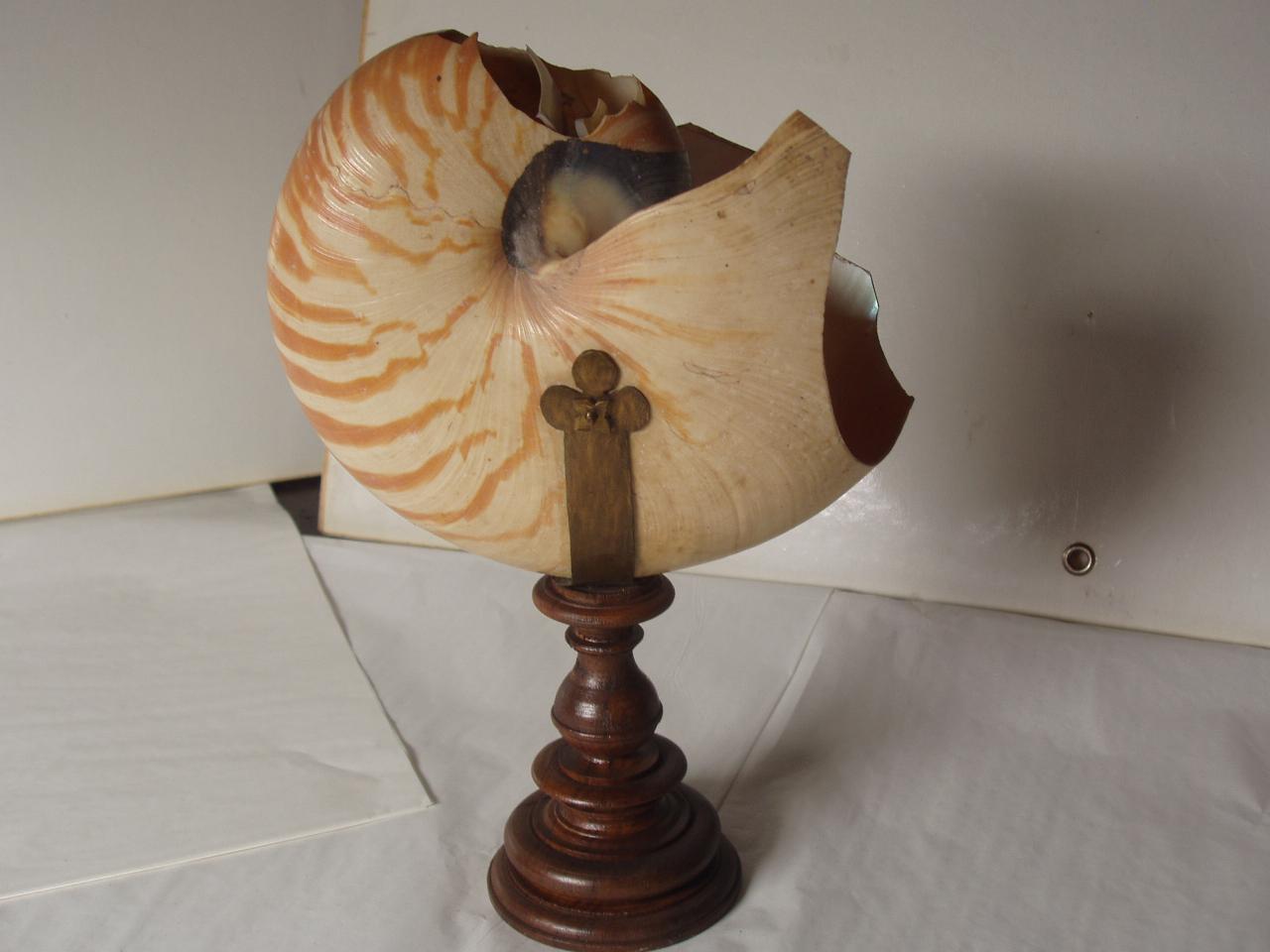 Coppa in conchiglia di Nautilus (coppa) - ambito italiano (secc. XVI/ XVII)