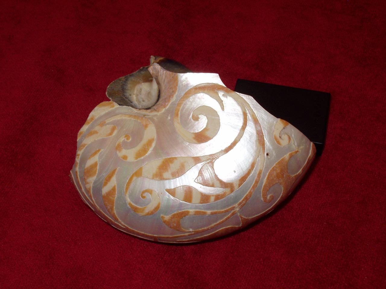 Frammento di coppa di Nautilus, motivi decorativi geometrici e fitomorfi (conchiglia) - ambito italiano (secc. XVI/ XVII)