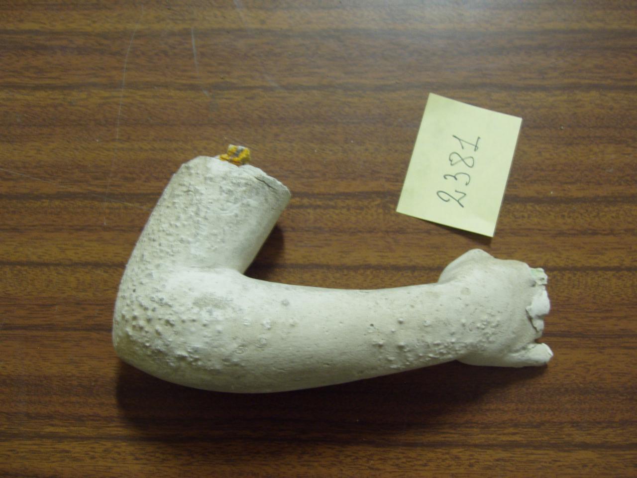 Frammento di braccio di statua, braccio (statua) - ambito lombardo (secc. XIX/ XX)