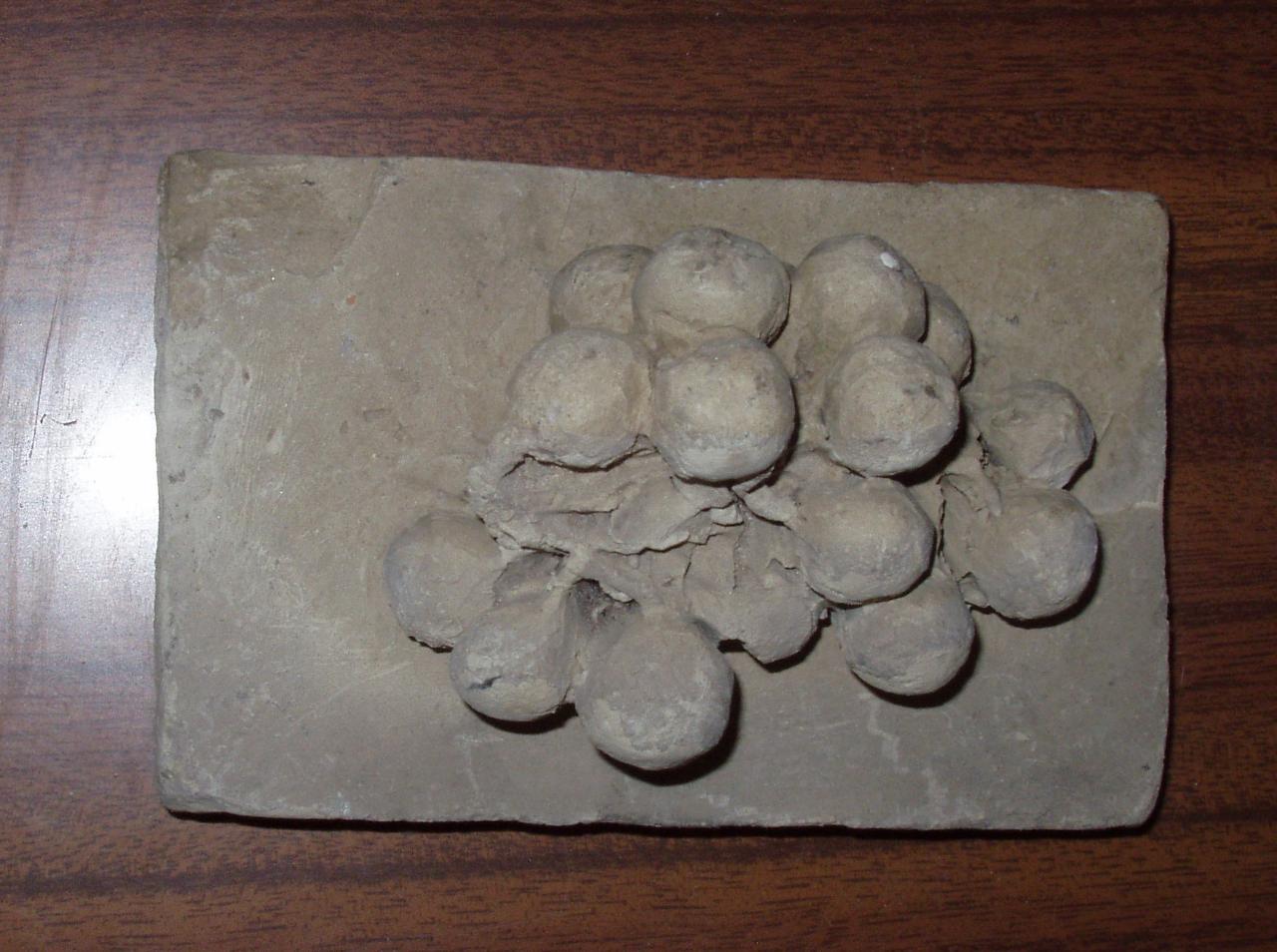 Natura morta con uva, uva (scultura) - ambito lombardo (secc. XIX/ XX)