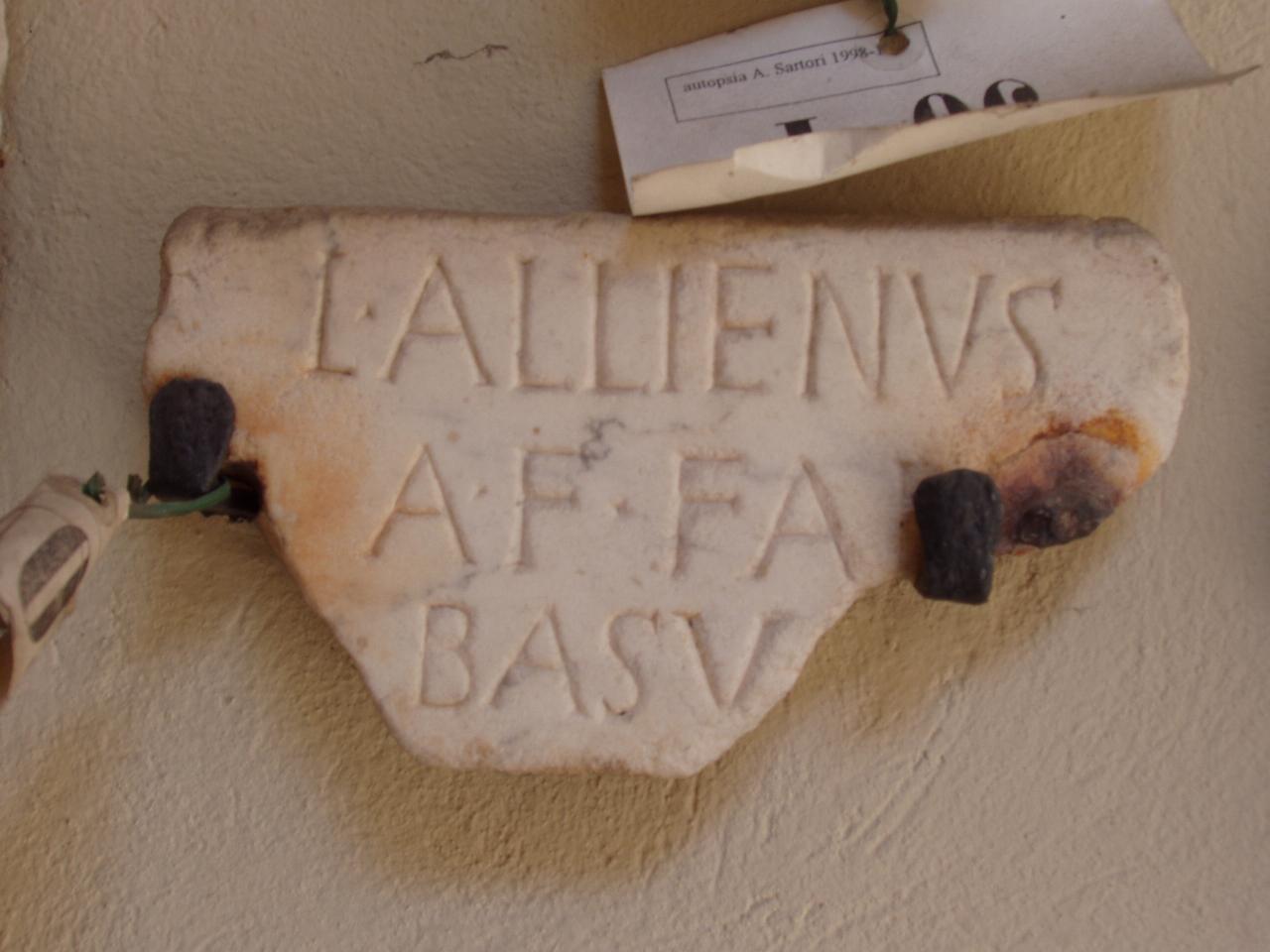 Lastrina funeraria lacunosa (lastra) - n.d. (n.d.)