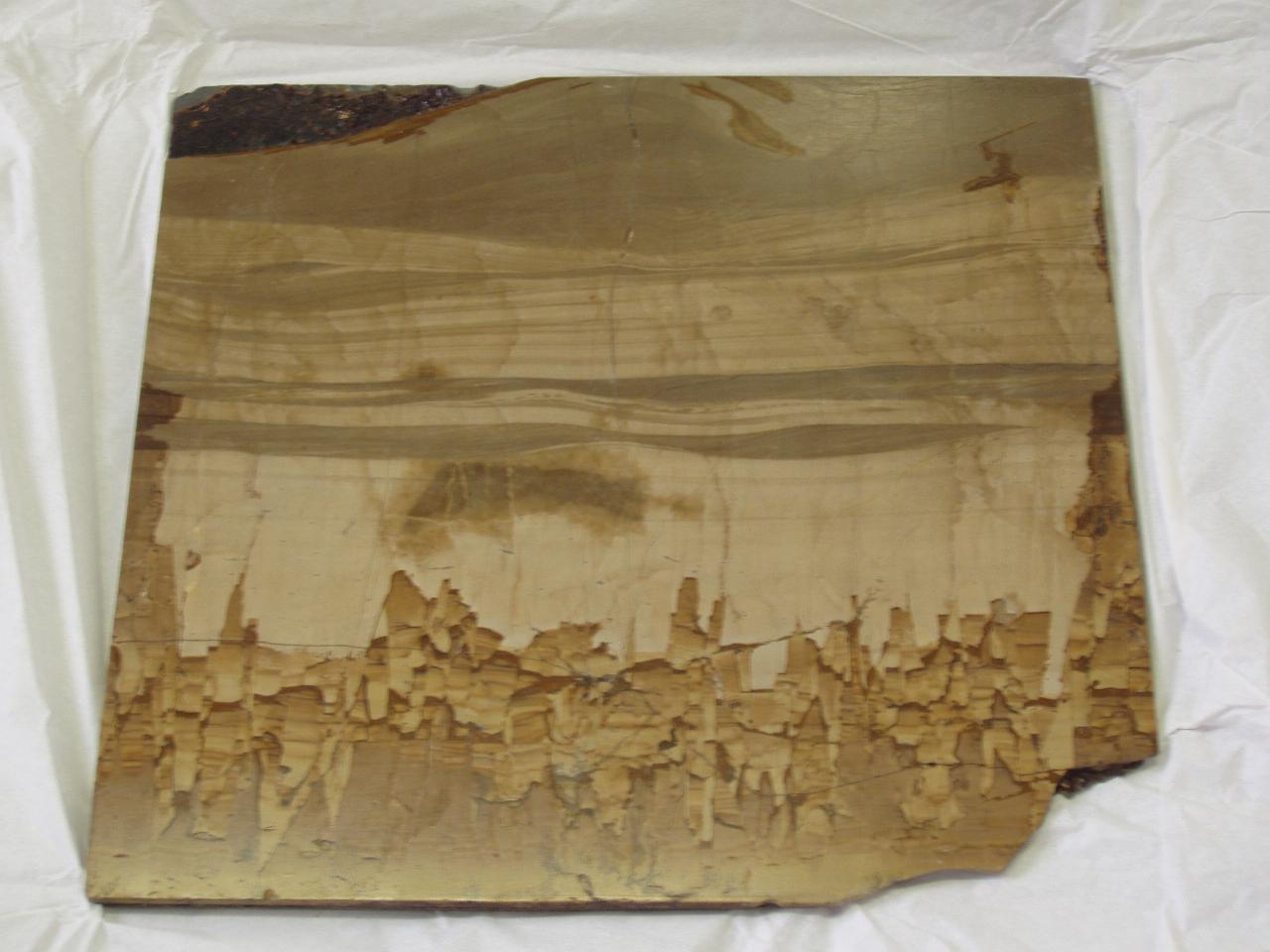 Lastra di Pietra paesina (lastra) - n.d. (n.d.)